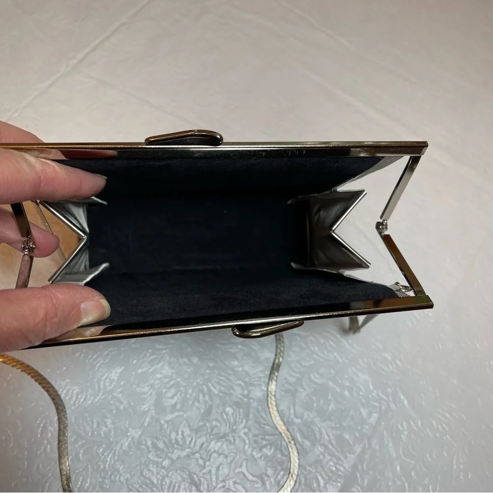 BO’s Art Studio Stainless Steel Mesh Evening Bag Painted Leaf Embellishment